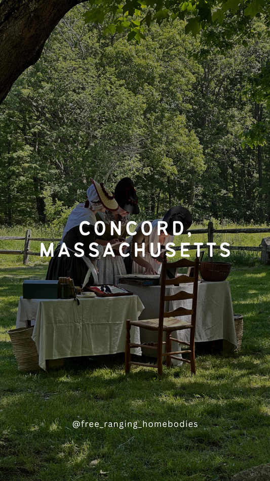 Homeschool Family Travels: Concord, MA