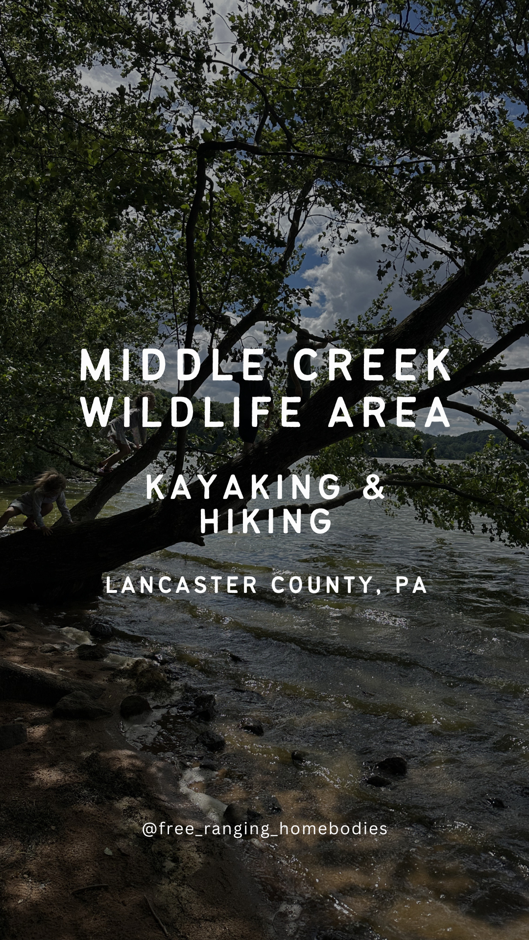 A Full Day at Middle Creek Wildlife Area: An Accessible Itinerary for Families with Varying Abilities