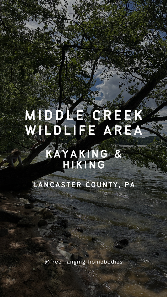 A Full Day at Middle Creek Wildlife Area: An Accessible Itinerary for Families with Varying Abilities