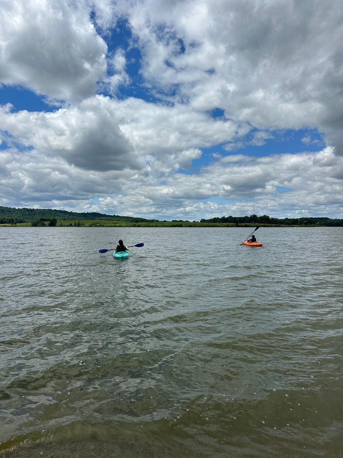 A Full Day at Middle Creek Wildlife Area: An Accessible Itinerary for Families with Varying Abilities