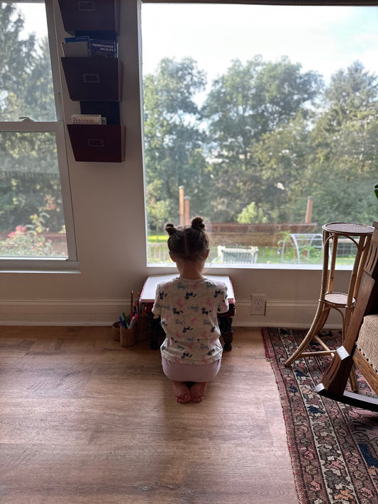 The Best Books to Study New England Before Your Homeschool Field Trip