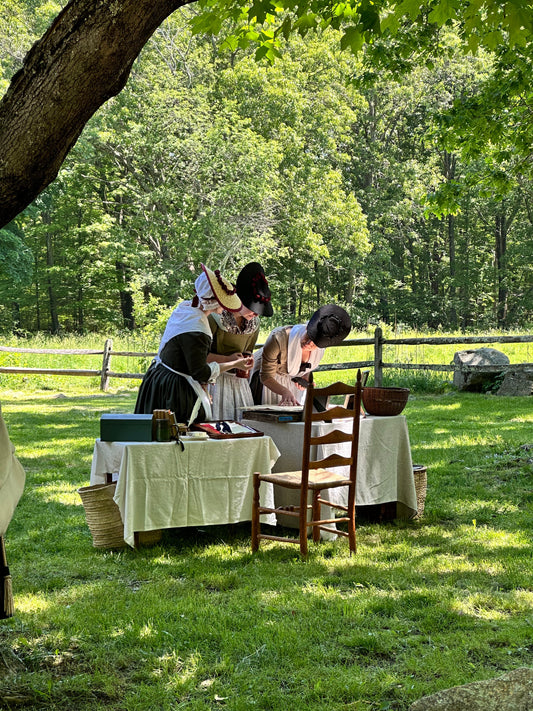 Homeschool Family Travels: Concord, MA